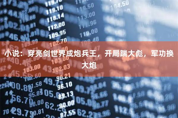 小说：穿亮剑世界成炮兵王，开局踹大彪，军功换大炮