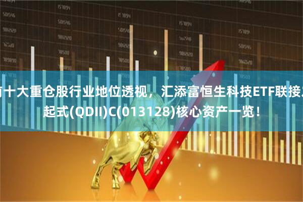 前十大重仓股行业地位透视，汇添富恒生科技ETF联接发起式(QDII)C(013128)核心资产一览！