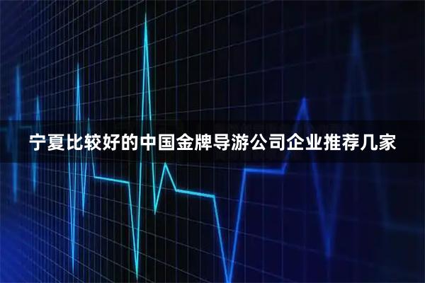 宁夏比较好的中国金牌导游公司企业推荐几家