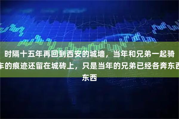 时隔十五年再回到西安的城墙，当年和兄弟一起骑车的痕迹还留在城砖上，只是当年的兄弟已经各奔东西